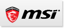 微星科技 msi